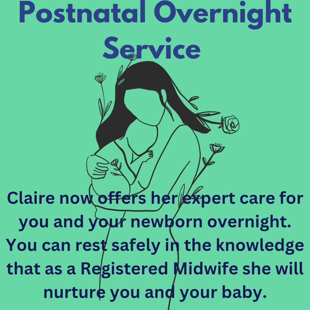 Postnatal Overnight Service North Down
