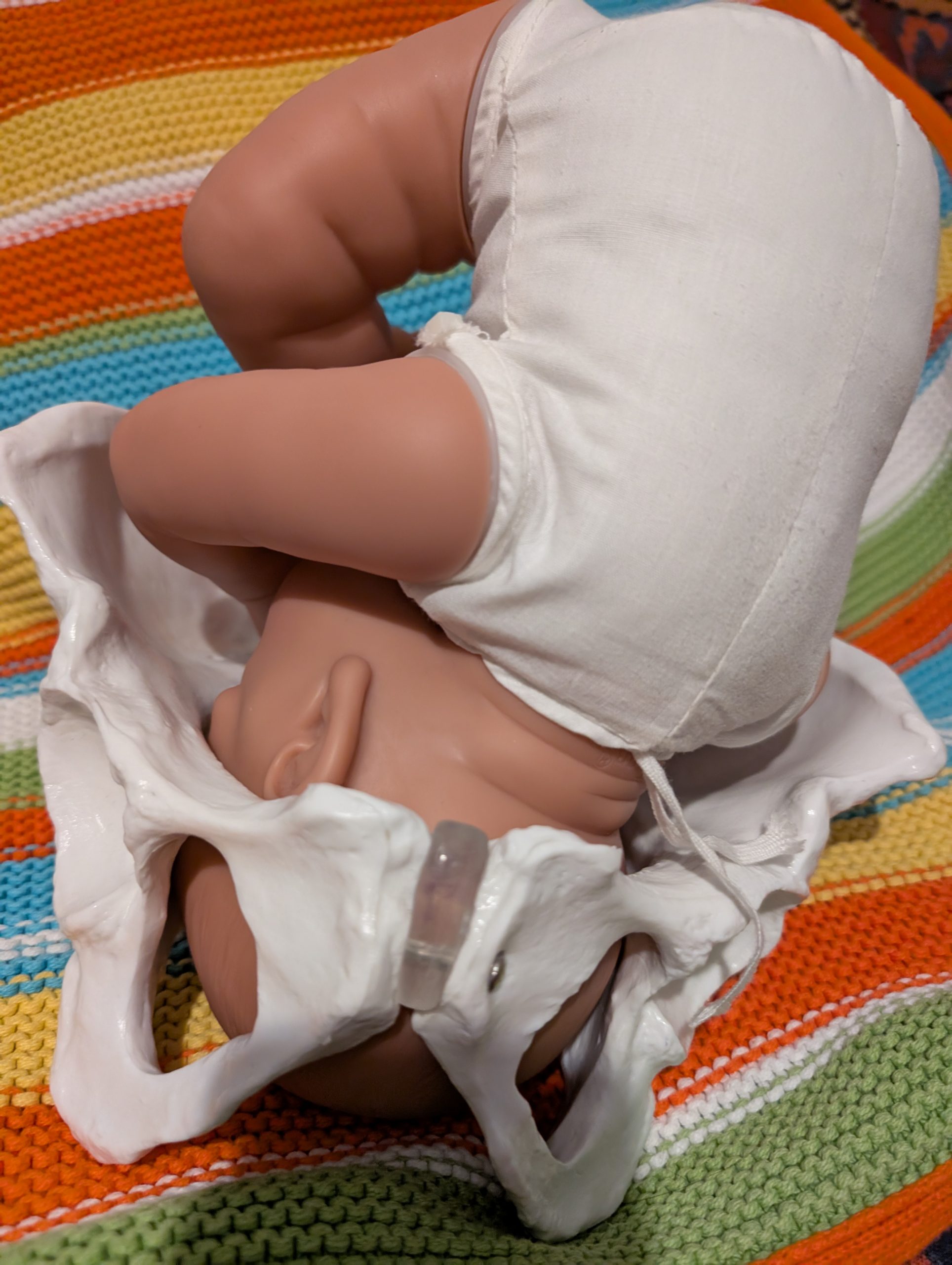 PXL_20251016_192053126.MP