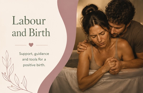 Labour and Birth NI